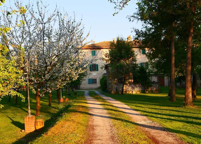 Il Trebbio *