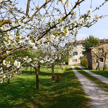 Il Trebbio Sansepolcro