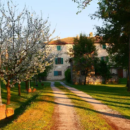 Il Trebbio *